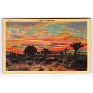 Vintage Evening on the Desert Linen Postcard by Lolliescard Specialty Co.